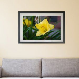 Lilly Contemporary flower photo artwork wall art